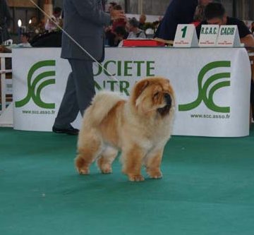 Switzerland, Lausanne