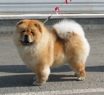 Finland, Lappeenranta