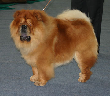 Switzerland, St. Gallen