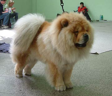 Czech Republic, Litomerice