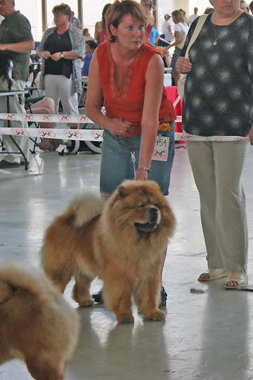 Czech Republic, Brno