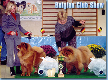 Belgium, Brussels-Jette
