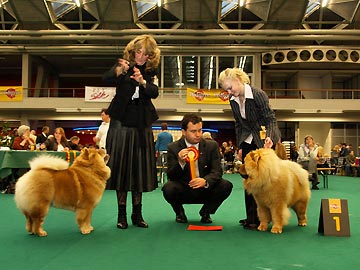 Netherlands, Amsterdam