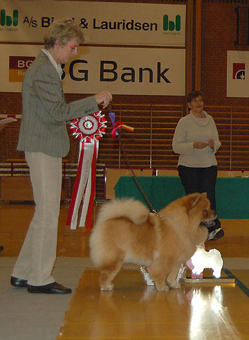 Denmark, Chows of the Year 2006