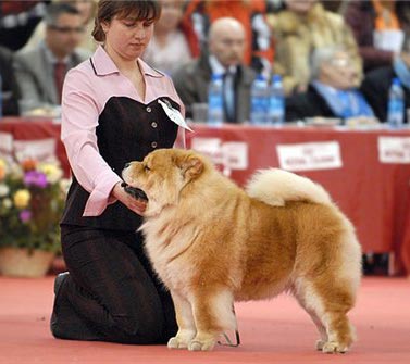 Russia, Moscow