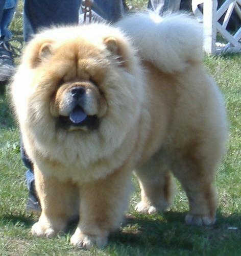 Hungary, Szilvasvarad