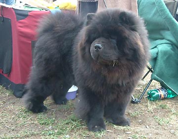 Poland, Jelenia Gora