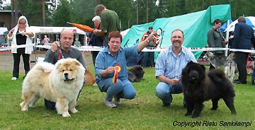 Finland, Juva