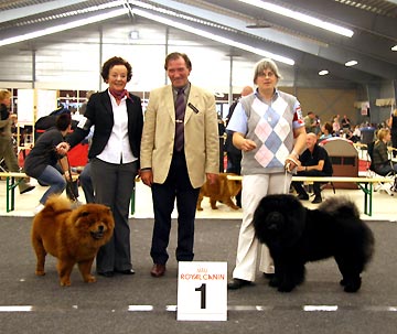 Netherlands, Berghem