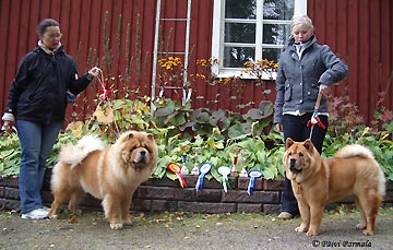 Finland, Hyvinkää