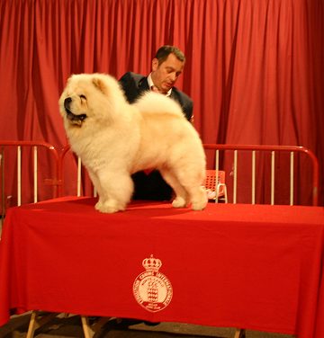 Switzerland, St-Gallen