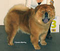 China Young's Kimberly