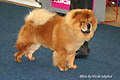Maruso`s Lord Lester