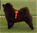Bidachows Irresistible IGucci
