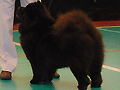 CH Fuzzy Bear's Day by Day Zelma