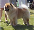 Bidachows Gentle Gibson