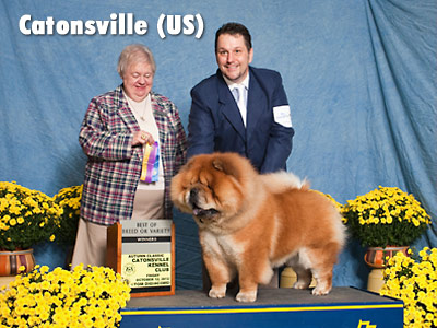 United States, Catonsville