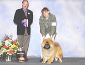 United States, Puyallup