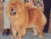 United States, Portland