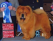 United States, Portland