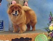 United States, Atlanta