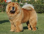 Italy, Reggio Emilia