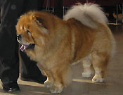 Czech Republic, Vysoká nad Labem