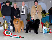 Italy, Volta Mantovana