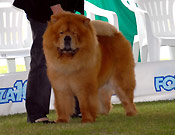 Italy, Gradisca d'Isonzo