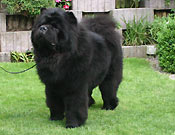 Switzerland, Lausanne