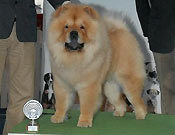 Italy, Reggio Emilia