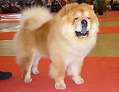 Switzerland, Fribourg