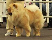 Italy, Reggio Emilia