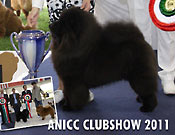 Italy, Volta Mantova