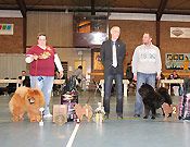 Netherlands, Asperen