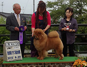 Japan, Niigata