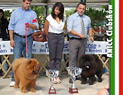 Italy, Massa e Cozzile