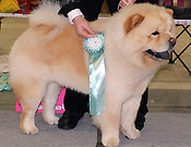 Russia, St. Petersburg