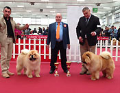 Italy, Reggio Emilia