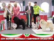 Italy, Volta Mantovana