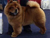 Switzerland, St-Gallen