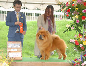 Japan, Iwate