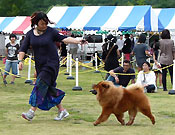 Japan, Yamanakako