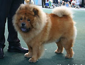 Germany, Saarbrücken