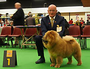Netherlands, Arnhem