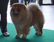 Switzerland, St. Gallen