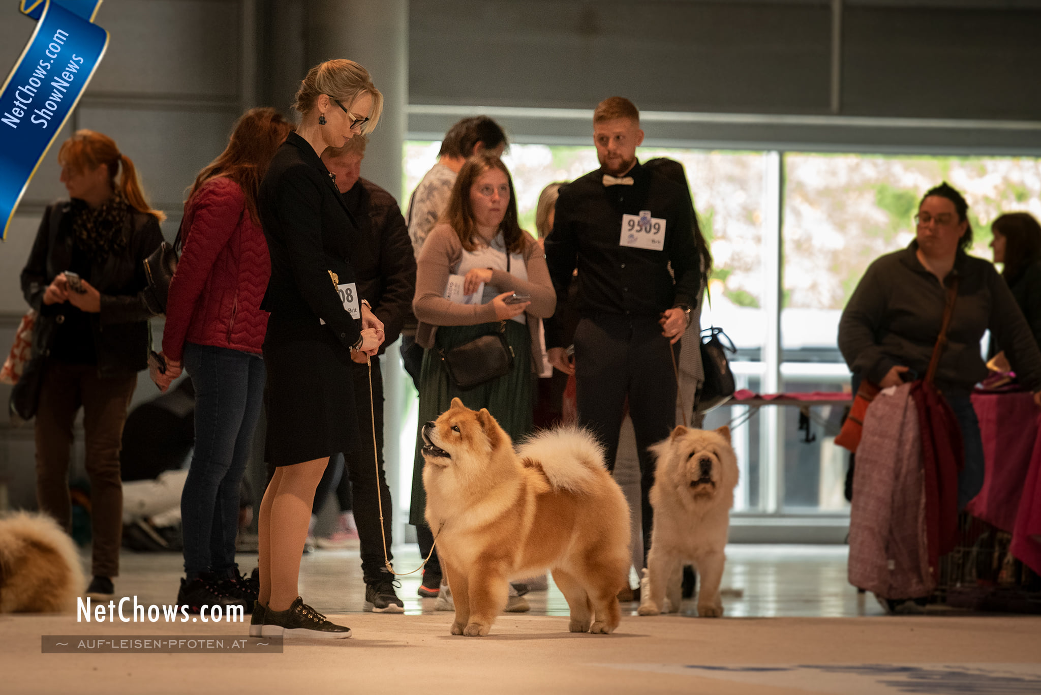 WDS 2021 – Czech Republic, Brno