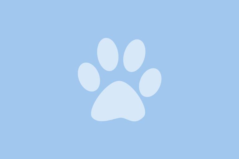 breeder-default-image breeder-default-image