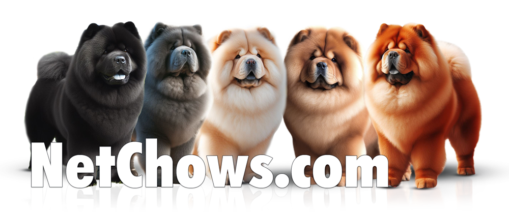 NetChows.com