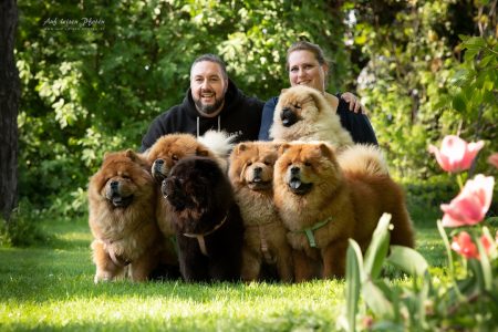 ofswisspremium01 450x300